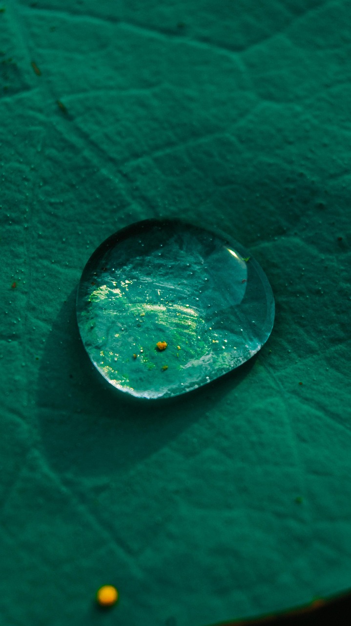 Mecanismos de acción de los bioestimulantes sobre la microbiota