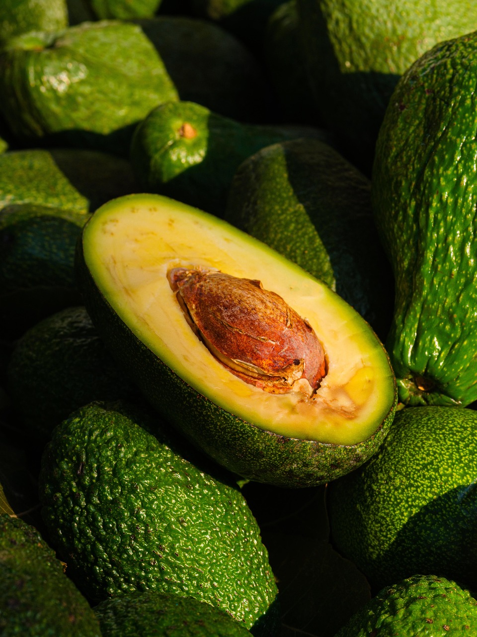 Efectos de Chlorella en la floración y cuajado del aguacate